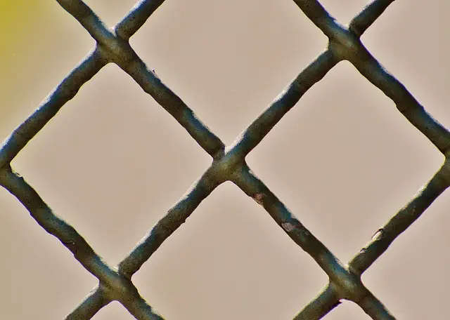 npressfetimg-10087.png