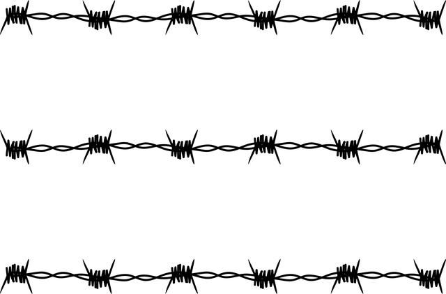 npressfetimg-10091.png
