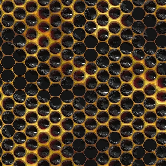 npressfetimg-1167.png