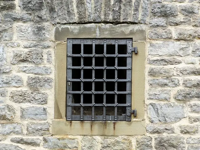 npressfetimg-1508.png