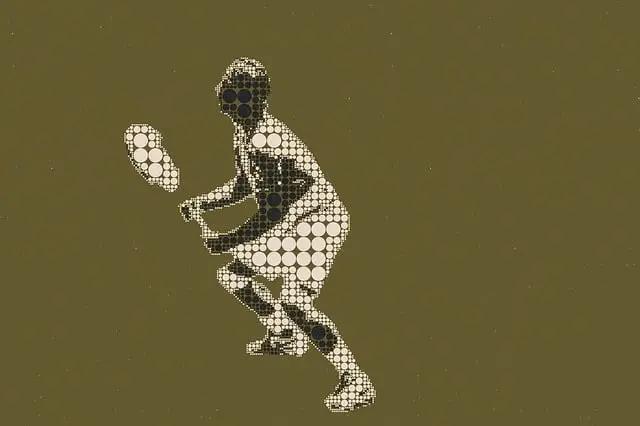 npressfetimg-2008.png
