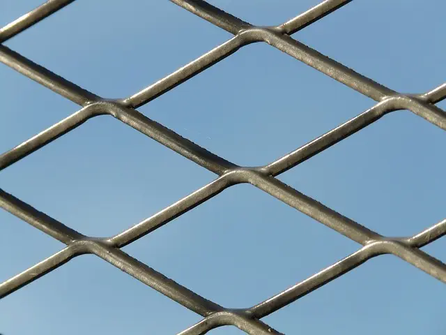 npressfetimg-2266.png
