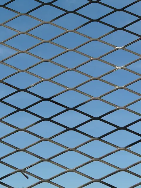 npressfetimg-2390.png
