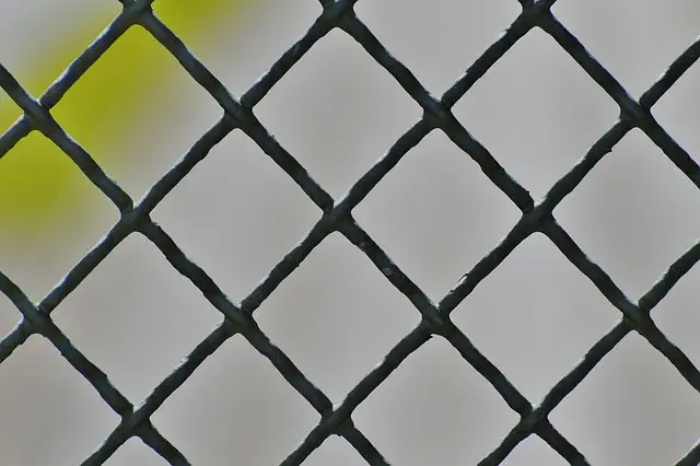 npressfetimg-3405.png