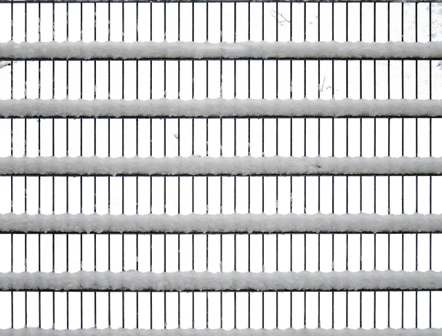 npressfetimg-4135.png