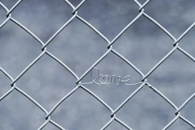 npressfetimg-4849.png