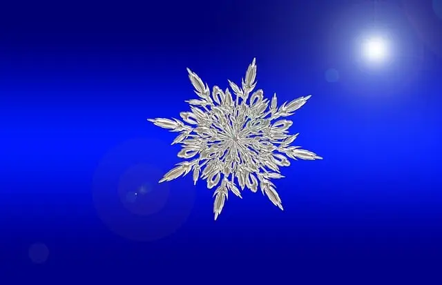 npressfetimg-506.png