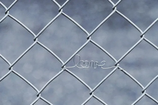 npressfetimg-6306.png