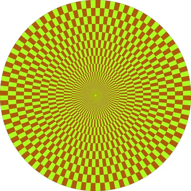 npressfetimg-7116.png