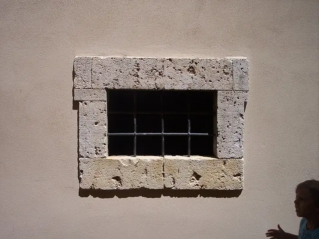 npressfetimg-7566.png