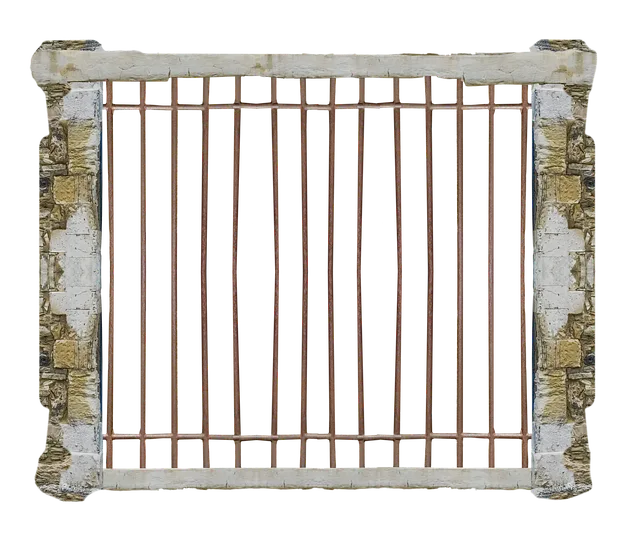 npressfetimg-809.png