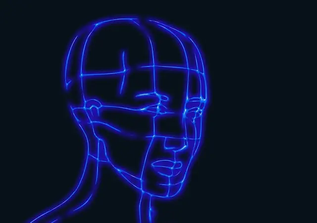 npressfetimg-8451.png